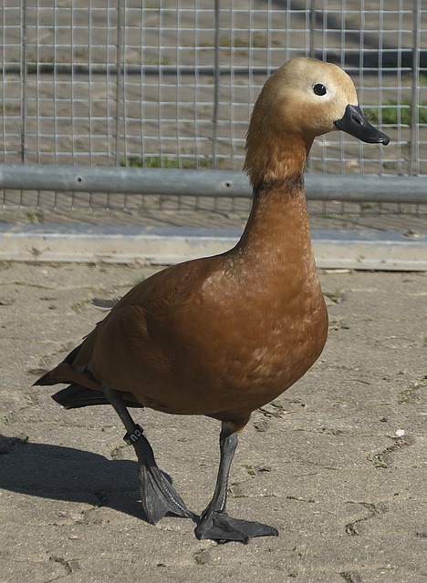 势换取